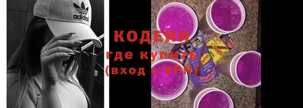 ECSTASY Ельня