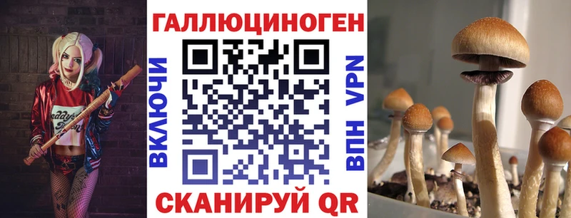 Галлюциногенные грибы мухоморы  цена   сайты даркнета Telegram  Кушва 